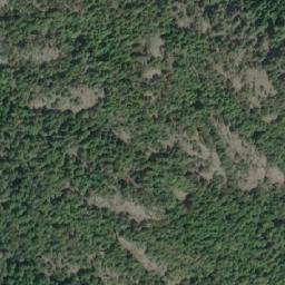 Satellite imagery of Mount Shepherd, CA