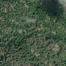 Satellite imagery of Mount Shepherd, CA