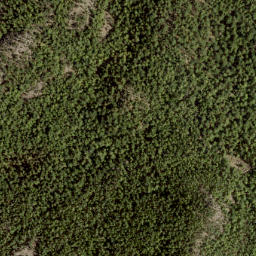 Satellite imagery of Leading Peak, CA