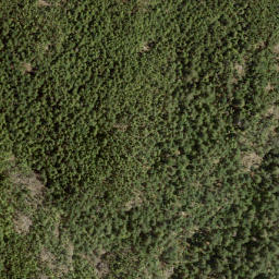Satellite imagery of Leading Peak, CA