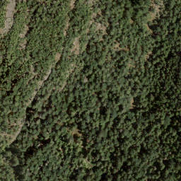 Satellite imagery of Leading Peak, CA