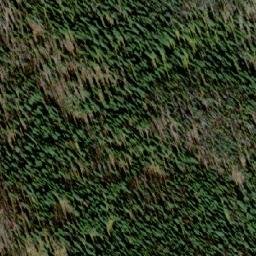 Satellite imagery of Mount Ferguson, CA
