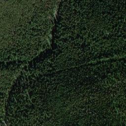 Satellite imagery of Mount Taylor, CA