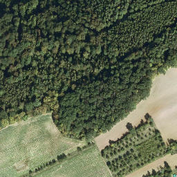 Satellite imagery of Bickelhaube, DE