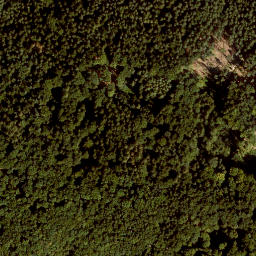 Satellite imagery of Kleiner Hansgörgel, DE