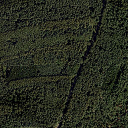 Satellite imagery of Löwenhöhe, DE