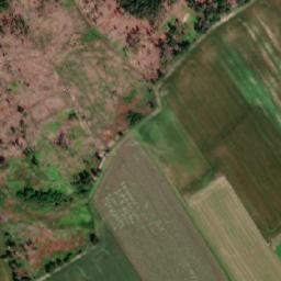 Satellite imagery of Strážky [Olešenka], CZ