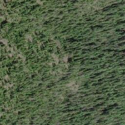 Satellite imagery of Flower Ridge, CA
