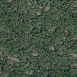 Satellite imagery of Mount Shepherd, CA