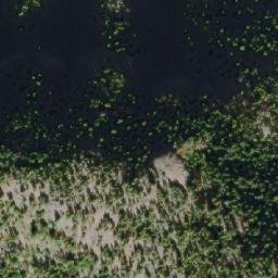 Satellite imagery of Mount Jackson, CA