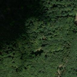 Satellite imagery of Losenberg, DE