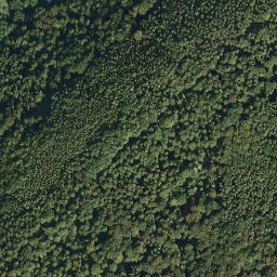Satellite imagery of Bickelhaube, DE