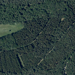 Satellite imagery of Hirschhorner Höhe, DE