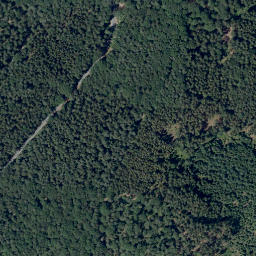 Satellite imagery of Hirschhorner Höhe, DE