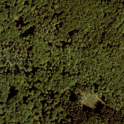 Satellite imagery of Großer Hansgörgel, DE