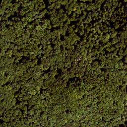 Satellite imagery of Kleiner Hansgörgel, DE