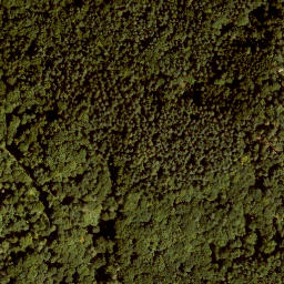 Satellite imagery of Kleiner Hansgörgel, DE