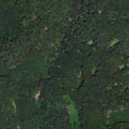 Satellite imagery of Křivý [Paršovice], CZ