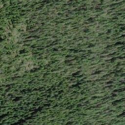 Satellite imagery of Flower Ridge, CA