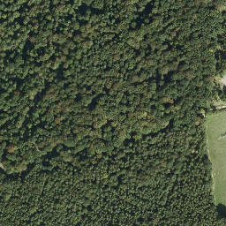 Satellite imagery of Bickelhaube, DE