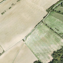 Satellite imagery of Bickelhaube, DE