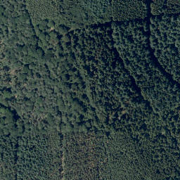 Satellite imagery of Schildenberg, DE