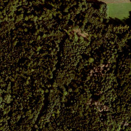 Satellite imagery of Großer Hansgörgel, DE