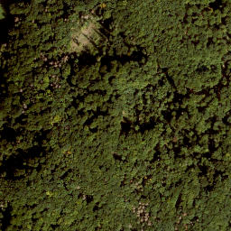 Satellite imagery of Großer Hansgörgel, DE