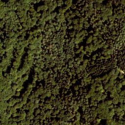 Satellite imagery of Großer Hansgörgel, DE