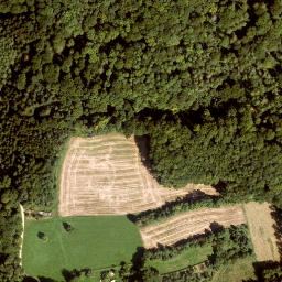 Satellite imagery of Kleiner Hansgörgel, DE