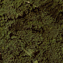 Satellite imagery of Kleiner Hansgörgel, DE