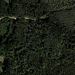 Satellite imagery of Vorderer Wenzelberg, DE