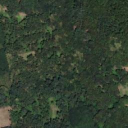 Satellite imagery of Křivý [Paršovice], CZ