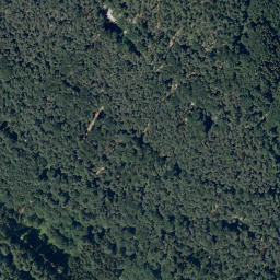 Satellite imagery of Viehkopf, DE