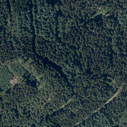 Satellite imagery of Schildenberg, DE