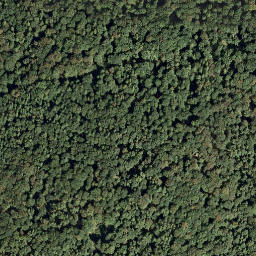 Satellite imagery of Harzweilerkopf, DE