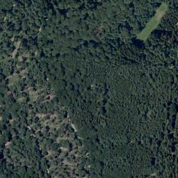 Satellite imagery of Kautzekopf, DE