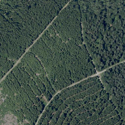 Satellite imagery of Dickbuckel, DE