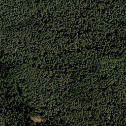 Satellite imagery of Rotbühl, DE