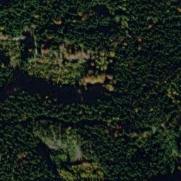 Satellite imagery of Reichenstein, DE