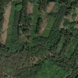Satellite imagery of Ptenínská hora [Ptenín], CZ