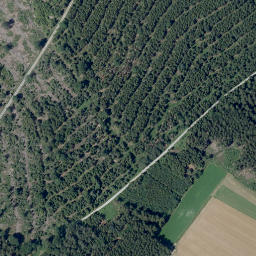 Satellite imagery of Dickbuckel, DE