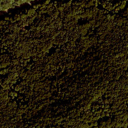 Satellite imagery of Pleßelberg, DE