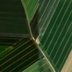 Satellite imagery of 0847601 - A, BE