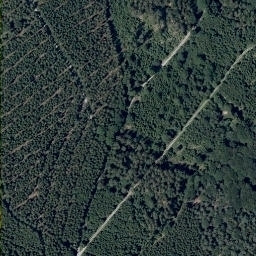 Satellite imagery of Salzlackenkopf, DE