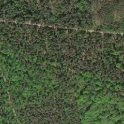 Satellite imagery of Buchberg, DE