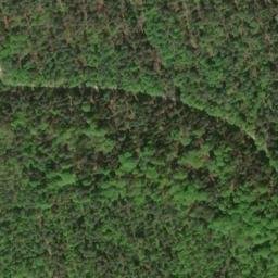 Satellite imagery of Buchberg, DE