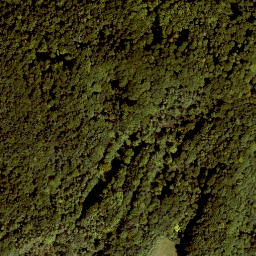 Satellite imagery of Pleßelberg, DE