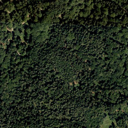 Satellite imagery of Buchberg, DE