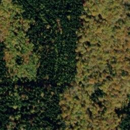 Satellite imagery of Reichenstein, DE